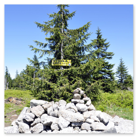 Wysoka Kopa - szczyt - 1126 m n.p.m.